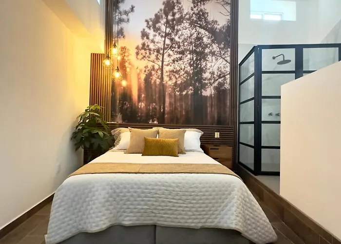 Morada Luna Polanco Guest house