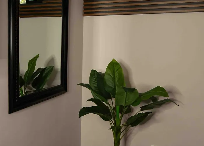 Morada Luna Polanco