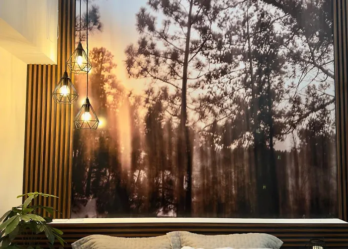 Morada Luna Polanco Guest house *