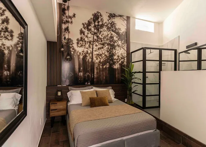 Morada Luna Polanco Guest house