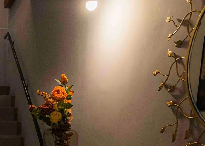 Morada Luna Polanco Guest house Mexico City