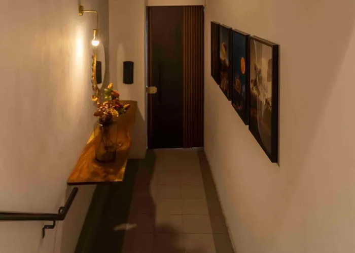 Morada Luna Polanco